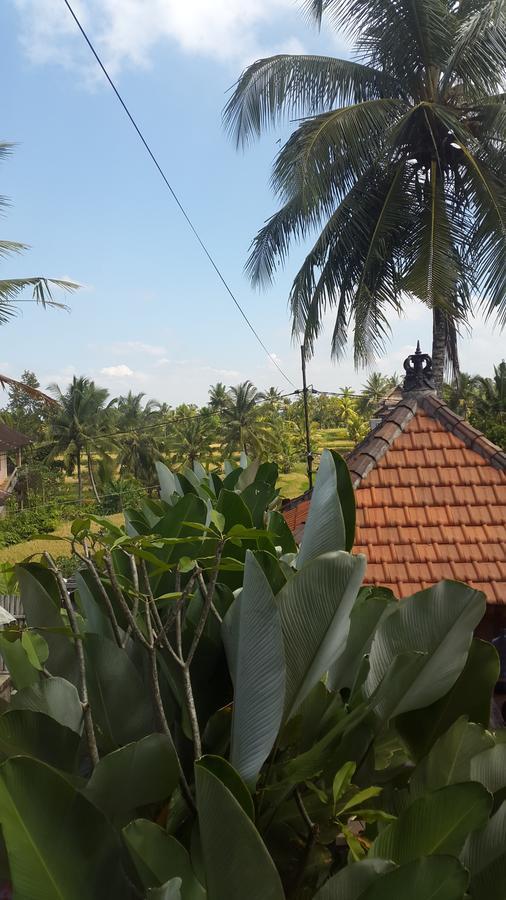 Villa Bungsil Gading Ουμπούντ Εξωτερικό φωτογραφία